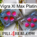 Vigra Xl Max Platinum 15